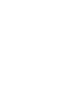 Logo DIPA